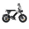 Fatbikes